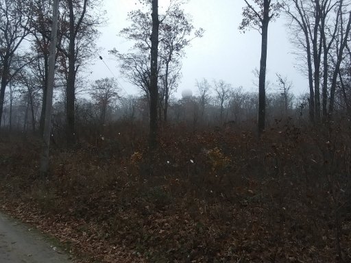 20211114_131541.jpg