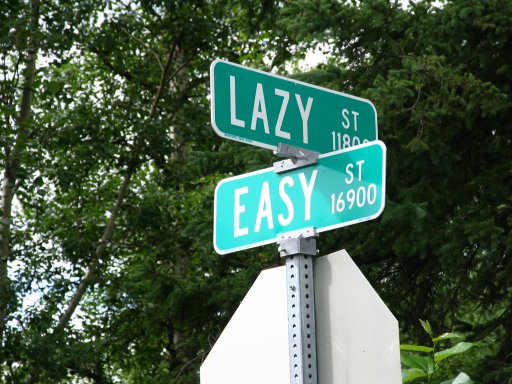Lazy_or_easy.jpg