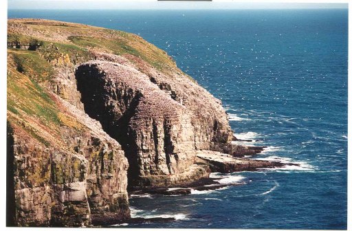 Cape St. Mary.jpg