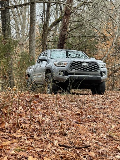 media.jpg