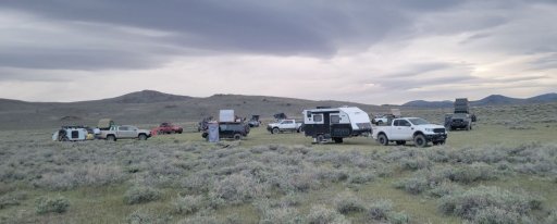 20220604_054555 Bodie Meadow r.jpg