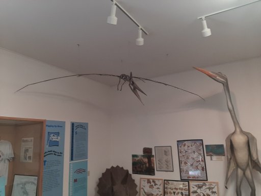 20220824_122802.jpg