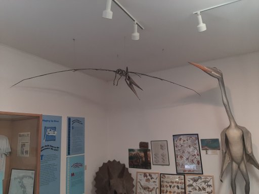 20220824_122805.jpg