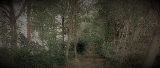 20220917_121650 (2).jpg