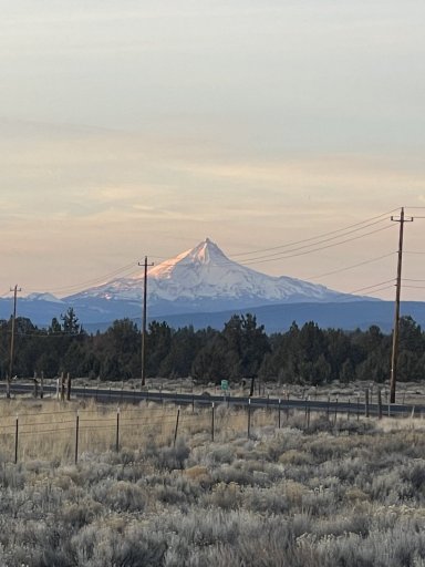 2D2494C2-049B-4A07-8460-ED1F4B24BE38.jpeg