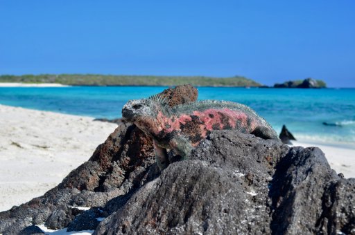 DSC_5458.jpg