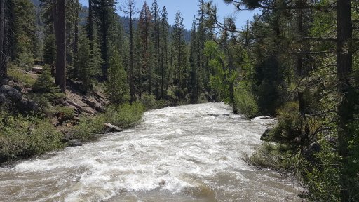 20170604_150533.jpg