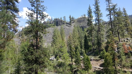 20170604_150413.jpg