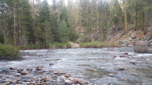 20170603_195349.jpg