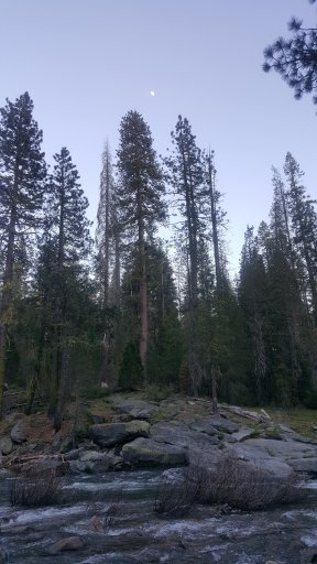 20170603_195332.jpg