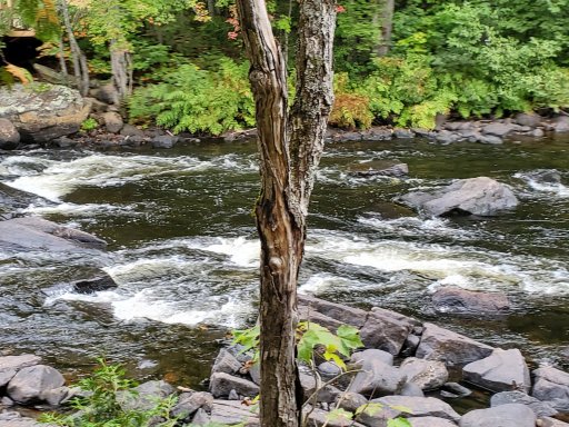 20220917_121047.jpg