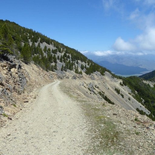 mt patriach track.jpg