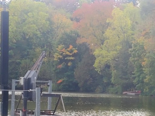 20221008_151310.jpg
