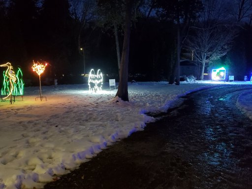 20221126_172419.jpg