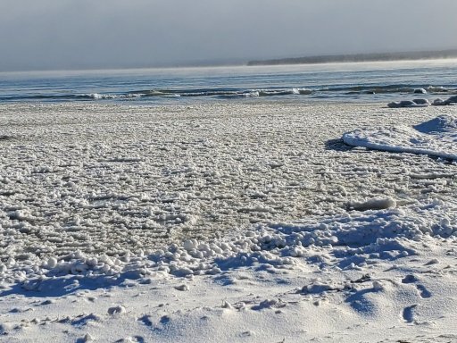 20230224_084712.jpg