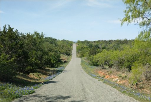 IMAG0653.jpg