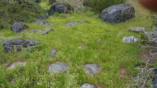 20170611_122052.jpg