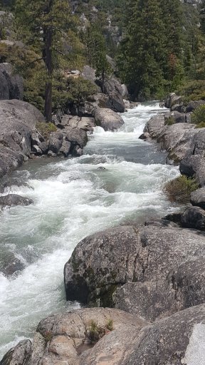 20170611_124141.jpg