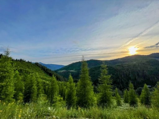 IMG_9948 Copy.JPG