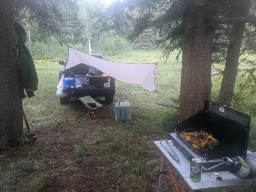 PXL_20210627_010744251.jpg