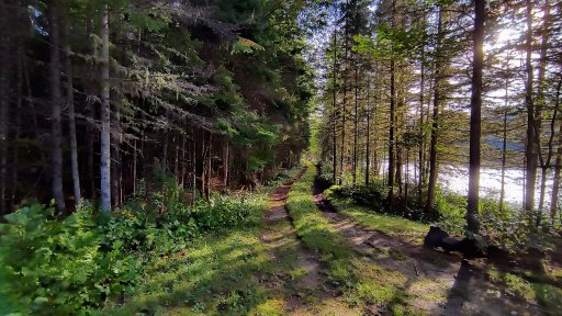 IMG_20230828_075122375_HDR.jpg