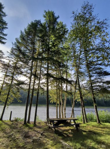 IMG_20230828_075138251_HDR.jpg