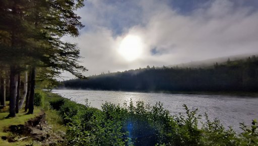 IMG_20230828_075012460_HDR.jpg