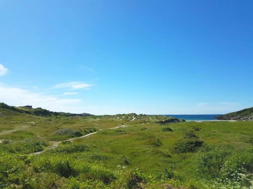 20170621_162631.jpg