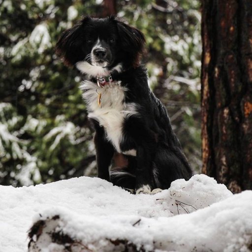 Annie at Yosemite!.jpg