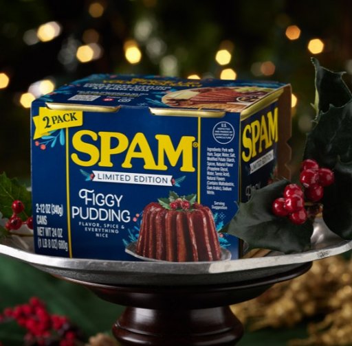 Web_2022_SPAM-Figgy-Pudding_1000v3.jpg