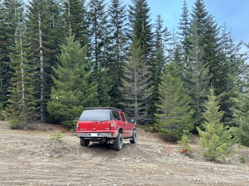 IMG_1994_no sticker.jpg