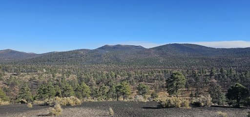 20231019_150721.jpg