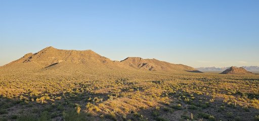 20231021_172918.jpg