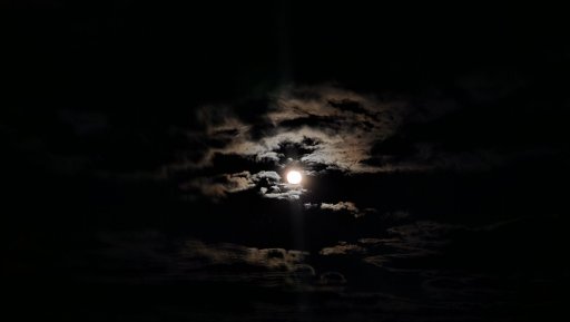 20240125_183146.jpg