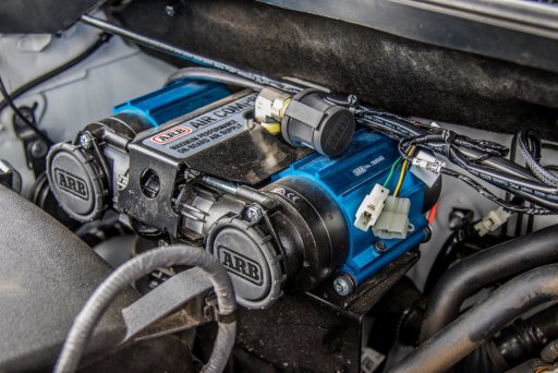 2 28 21 Tundra LR Edit (7).jpg