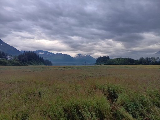20240824_072928.jpg