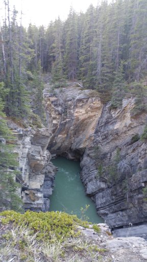 20170521_193813.jpg