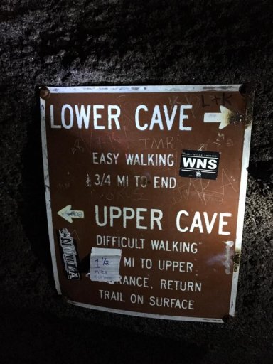 Ape Cave Sign.jpg