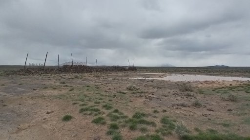 20250417_143030_HDR.jpg