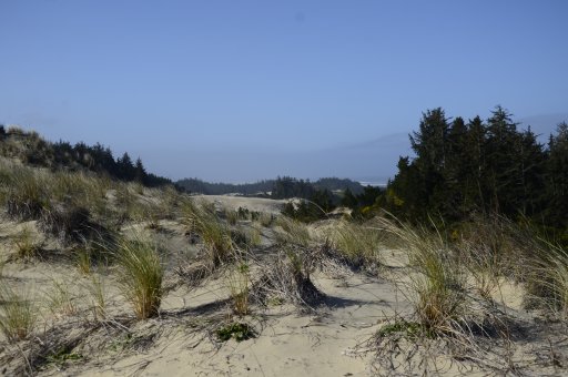 ordunes lo 2.JPG