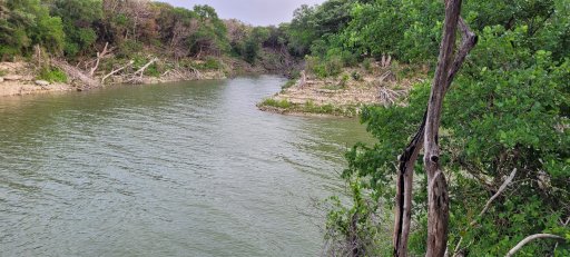 20250425_190845.jpg