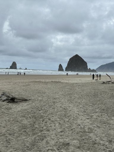 IMG_2703.jpeg