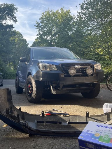 Bumper.jpeg