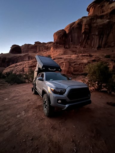 IMG_9228 2 Large.jpeg