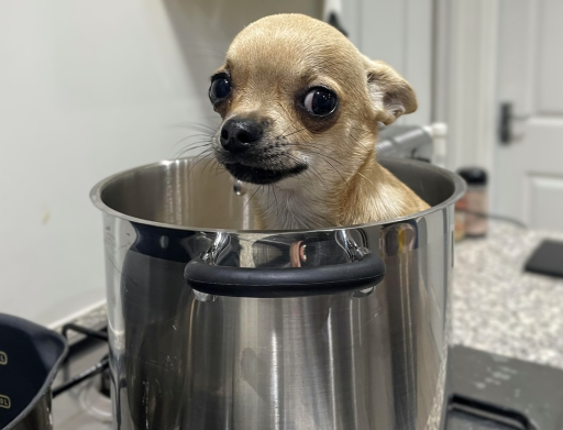 1765571319084.png
