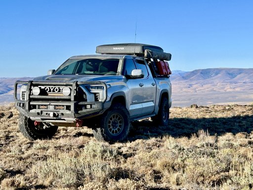 IMG_3428.jpeg IMG_3428.jpeg