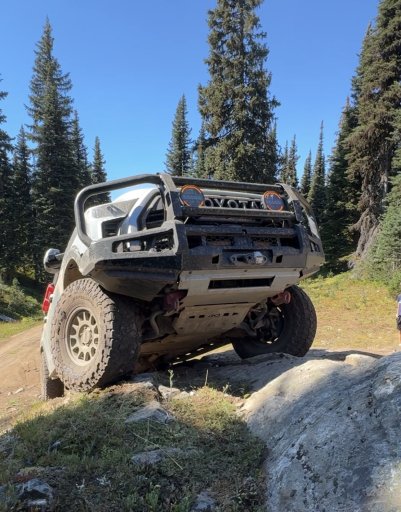 IMG_3316.jpeg IMG_3316.jpeg