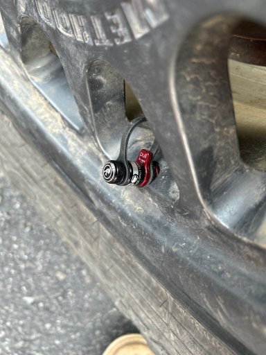 IMG_2896.jpeg IMG_2896.jpeg