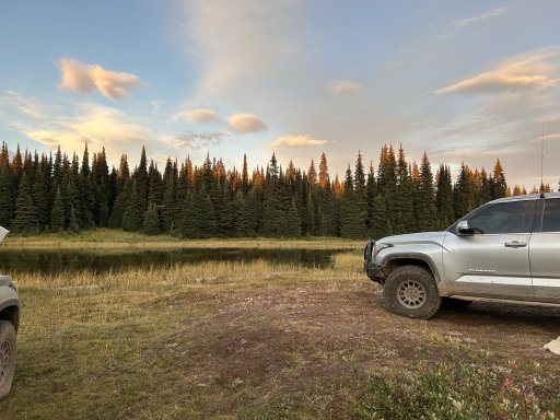 IMG_3294.jpeg IMG_3294.jpeg