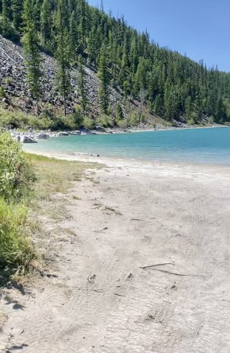 IMG_8196.jpeg IMG_8196.jpeg